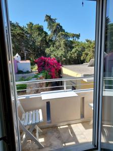 Old Town Harmony Apt