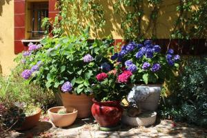 Appartements Bel Air -les Restanques : photos des chambres