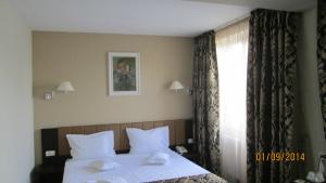 Single Room room in Hotel Bistrita