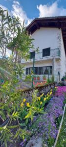 Apartma pr' Ivani Miškorinovi 