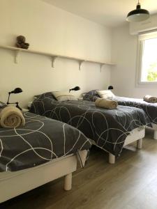 Appartements Les valises sur le sable, 50m de la plage, parking : photos des chambres