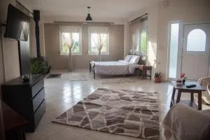 Ioannina Cozy Retreat - Neo Mpizani