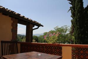 Junior Suite mit Terrasse