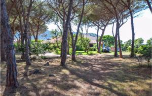 1 Bedroom Cozy Home In Budoni