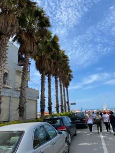 Shahollari Apartament