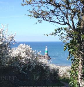 Appartements Un balcon sur le port : photos des chambres