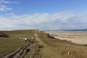 Maisons de vacances 