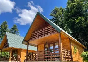 Hill Hut - 奥尔亚维奇克