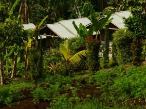 The Geckos Homestay