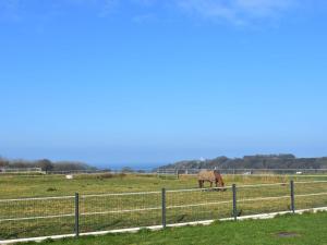 Maisons de vacances Welcoming holiday home in Etretat with private garden : photos des chambres