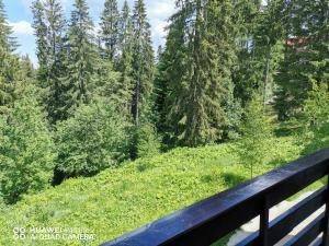 Antonia, Apartament Predeal