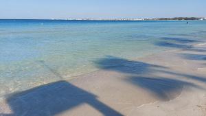 CasaAmaree Porto Cesareo