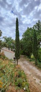 Maisons de vacances maisonnette provencale sous les chenes : photos des chambres