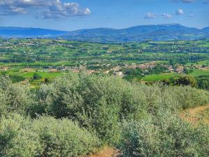 Maisons de vacances maison dans un ecrin de chenes provencale : photos des chambres