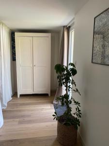 Appartements Adorables studios - emplacement ideal : photos des chambres