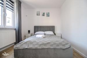 Apartament D&M