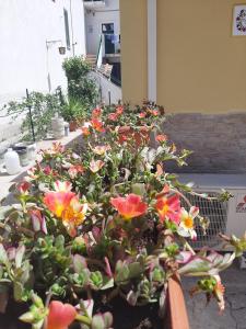 Casetta Santa Maria Degli Angeli