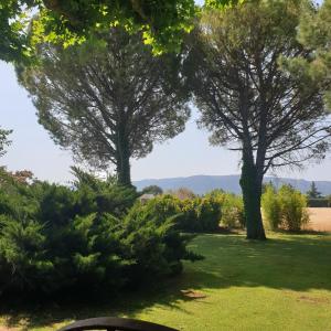 Maisons de vacances les trois figuiers mas provencal : photos des chambres