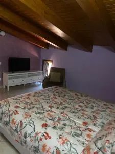 beucarnea apartment salerno - Eboli