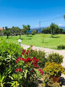 Aloni Studios and Apartments