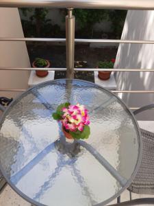 DIMITRA HOUSE