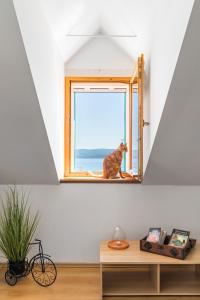 Waterview apartments (Tui Apartment)