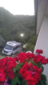 Tent room in Auto camp Radoman