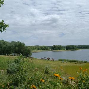 Apartament z widokiem Azyl Widoki