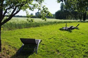 Maisons de vacances La Case a Jane, gite familial en pays tarnais : photos des chambres