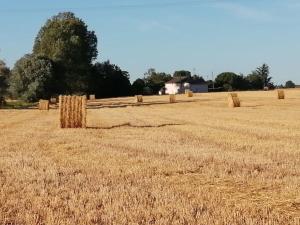 Maisons de vacances La Case a Jane, gite familial en pays tarnais : photos des chambres