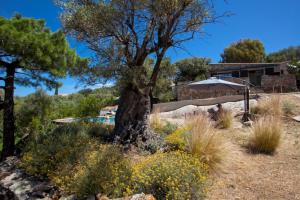 Villas Villa bodri, maison en pierre avec vue mer et piscine chauffee : photos des chambres