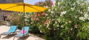 B&B / Chambres d'hotes Le reve d'Alice : Chambre Double - Vue sur Jardin