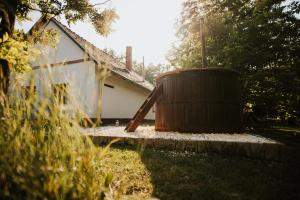 Nyugalom az erdő közepén Ruzsa