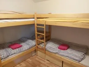 One bedroom with 4 beds in cozy house close to the river Danube - 杜瑙森特米克洛什