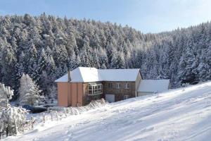 Appartements Gite GRETEL de la Ferme du Schneeberg : photos des chambres