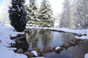 Appartements Gite GRETEL de la Ferme du Schneeberg : photos des chambres