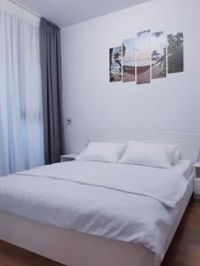 ONIX BLUE BEACH MAMAIA NORD