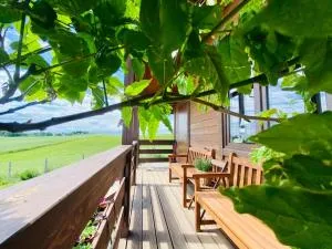 Domek w polu - 米沃姆温