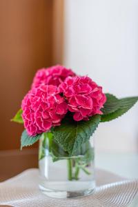 B&A - Center of Split