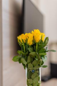 B&A - Center of Split