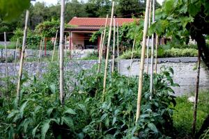 Holiday Home Gazevic