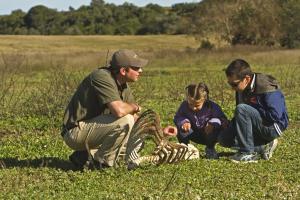 Addo Elephant National Park, Addo, 6105, South Africa.