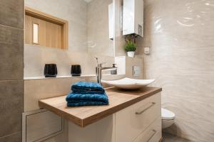 Apartment BlueBird Katowice near Spodek MCK City Center