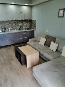 Tbilisi mountainview - Didgori