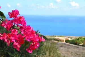 Terrazza Sarmuci di Scopello