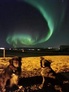 Cora´s House & Horses