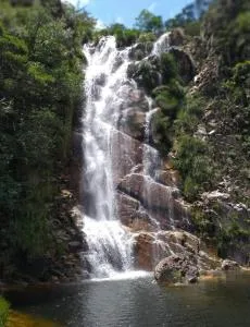 Famiglia da Serra - Iacaiá