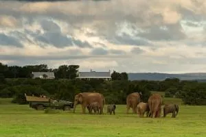 RiverBend Lodge - Beans River