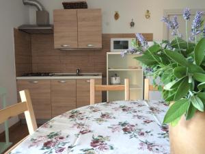 Apartment - Erdgeschoss