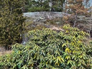 6 person holiday home in TYRESÖ-By Traum